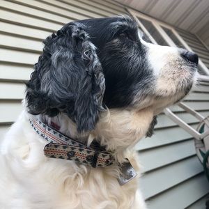 Aztec Dog Collar (B)